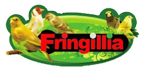 Fringillia